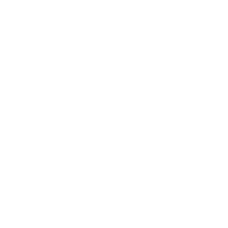 Windows Server Logo